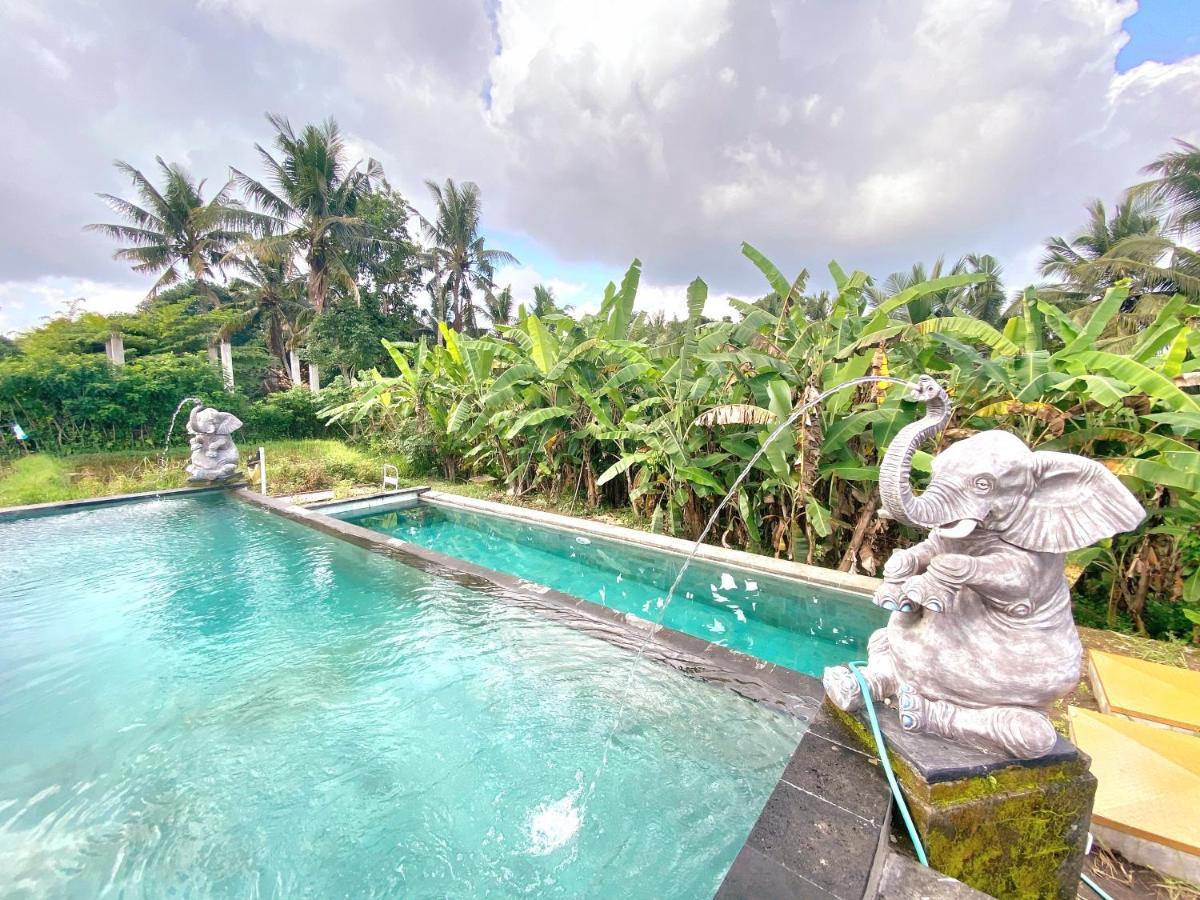 Ubud Rice Field House المظهر الخارجي الصورة