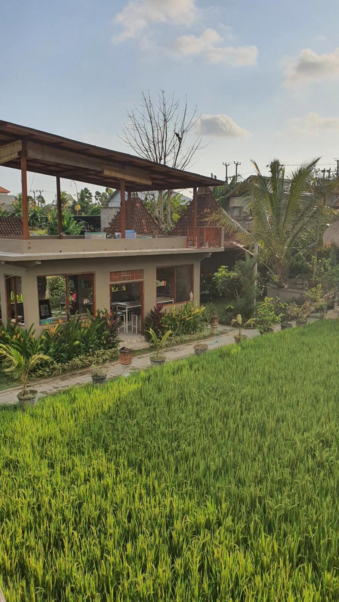 Ubud Rice Field House المظهر الخارجي الصورة