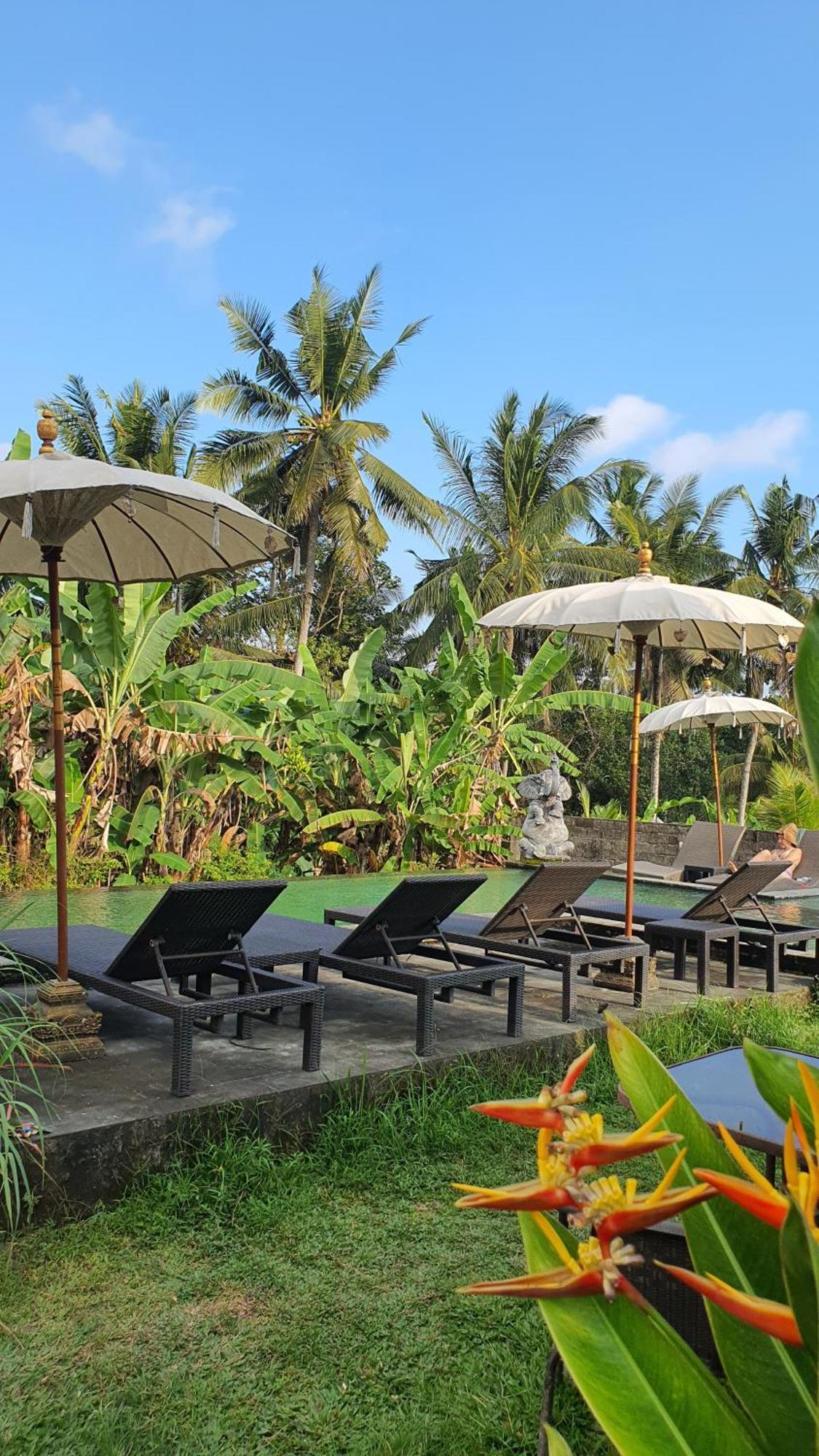 Ubud Rice Field House المظهر الخارجي الصورة