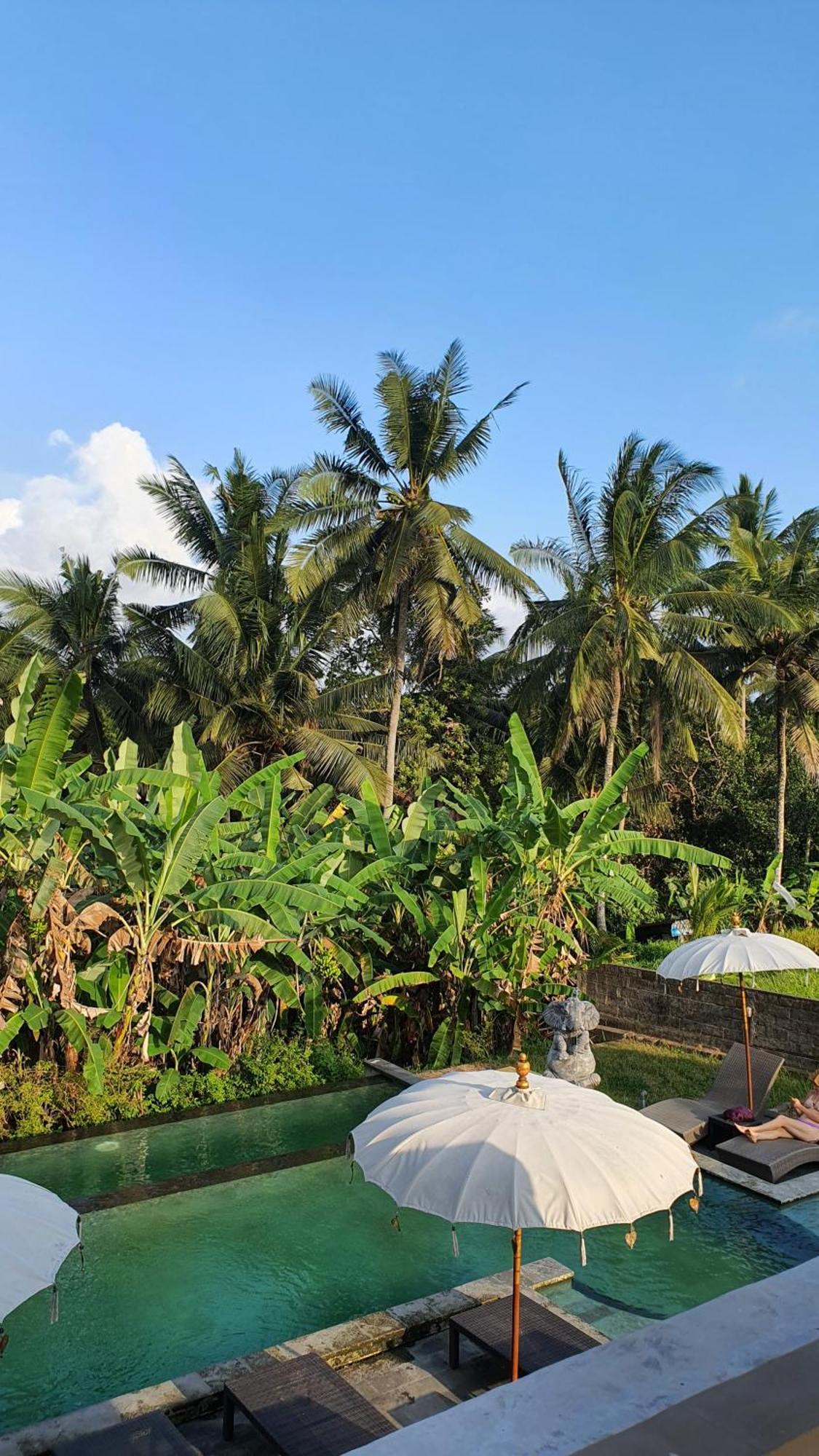 Ubud Rice Field House المظهر الخارجي الصورة